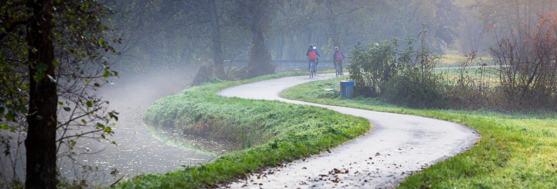 green pathway